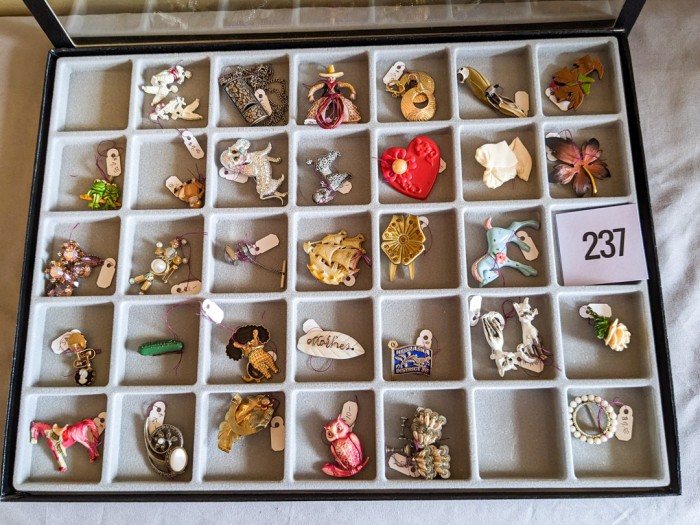 237. (20) Brooches, (4) Earrings, Tie Tack, Necklace + Case