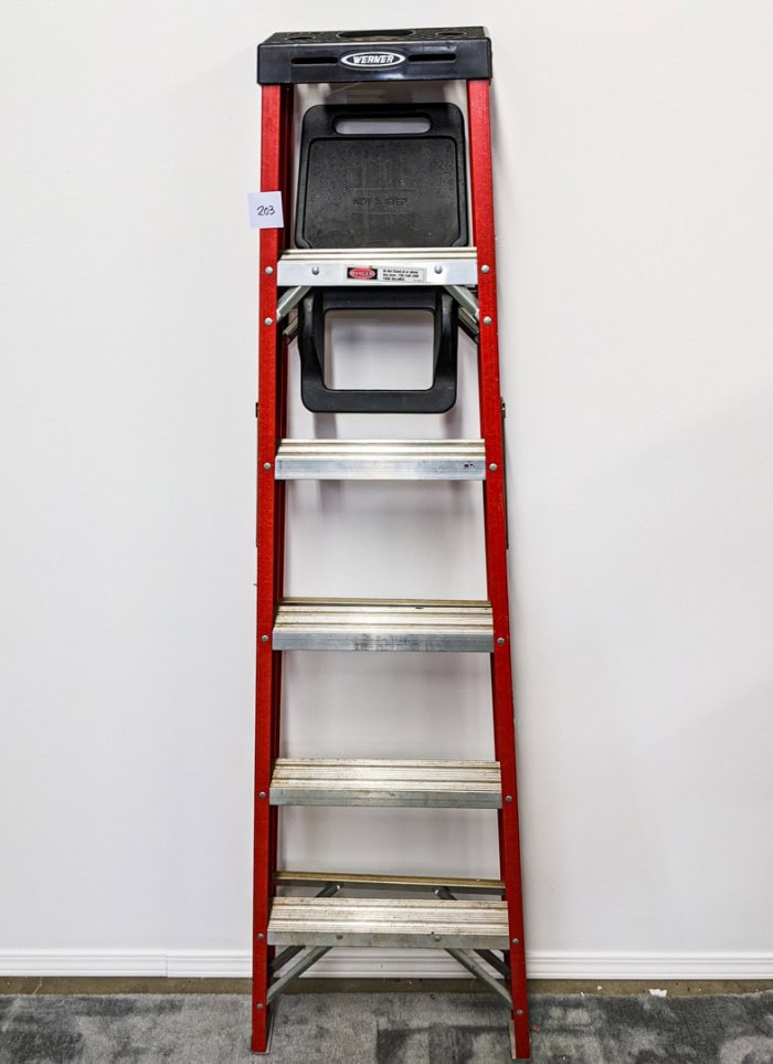 203. 6' Werner Ladder