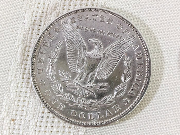 246. (2) Morgan Silver Coins (1881 + 1886) - Image 3