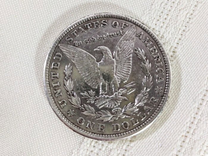 249. 1921 - S Morgan Silver Coin - Image 3