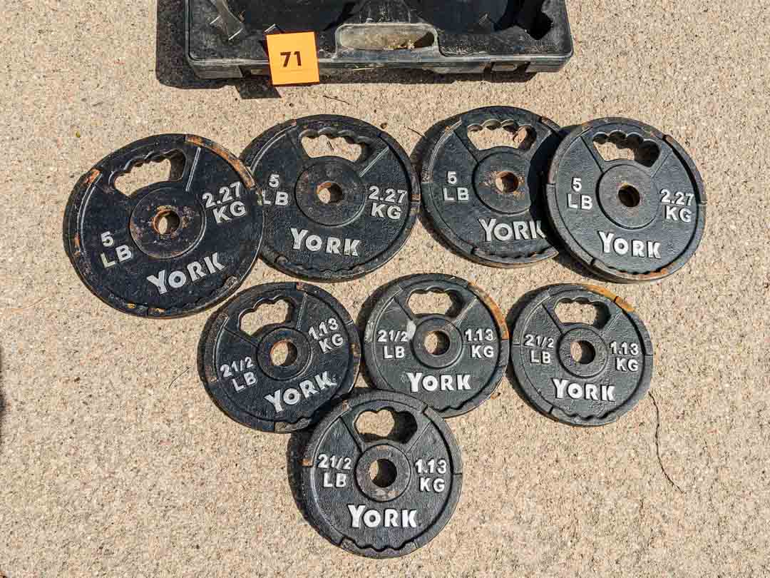 71. Hand Weights - Image 2