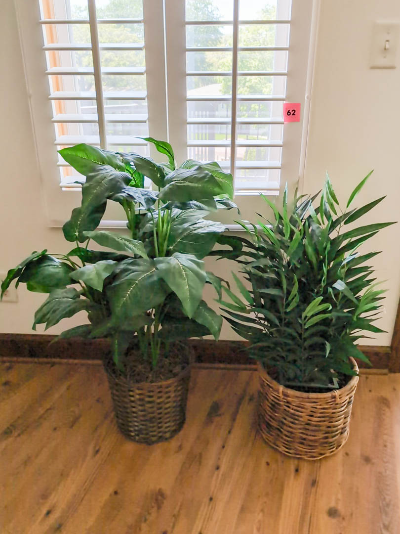 62. (2) Faux Plants