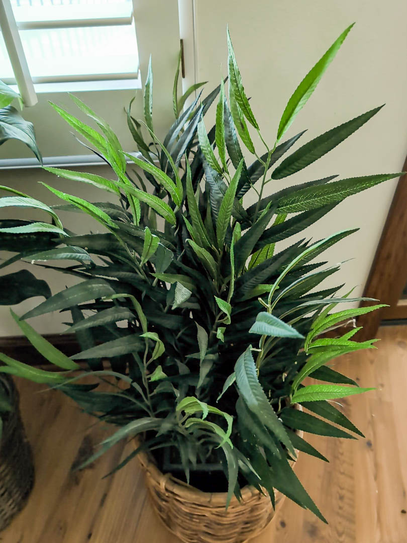 62. (2) Faux Plants - Image 4