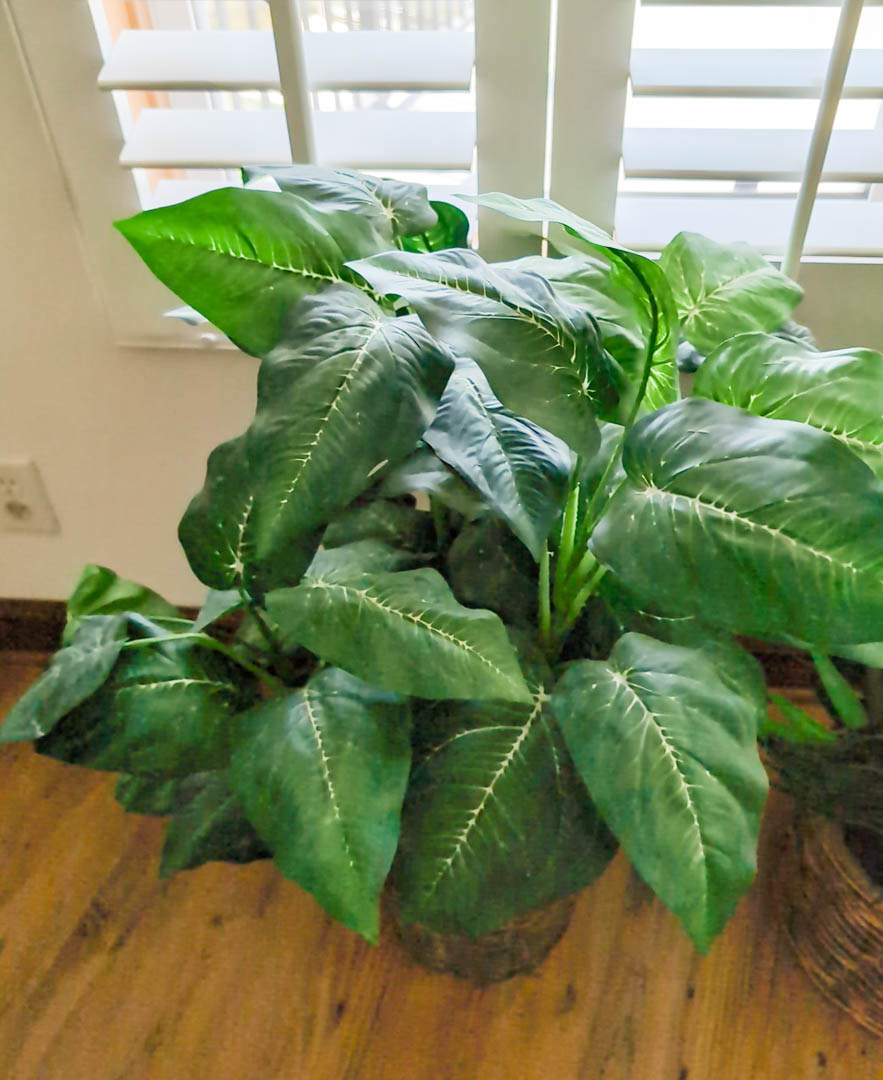 62. (2) Faux Plants - Image 3