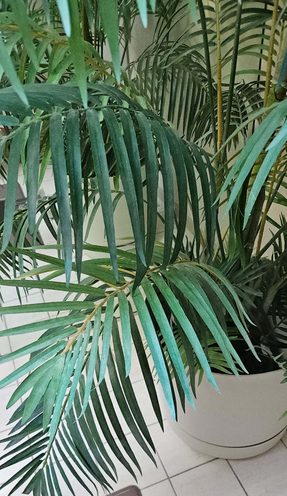 308. 56" T Faux Plant - Image 3