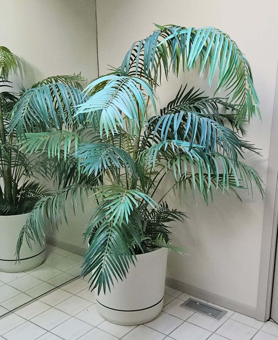 308. 56" T Faux Plant