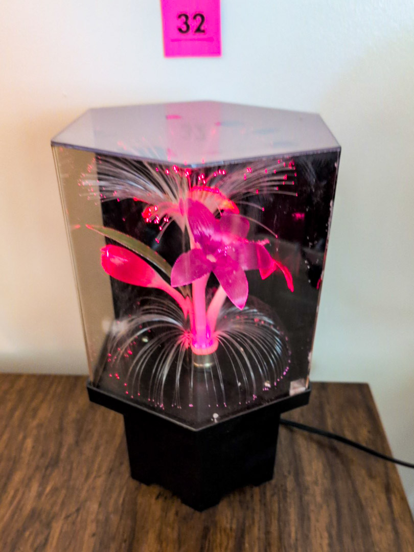 32. Fiber Optic 11" Lamp