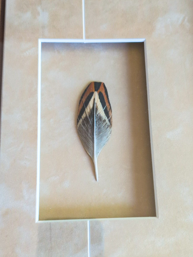 4. Pheasant Feather Art (signed) - Image 4