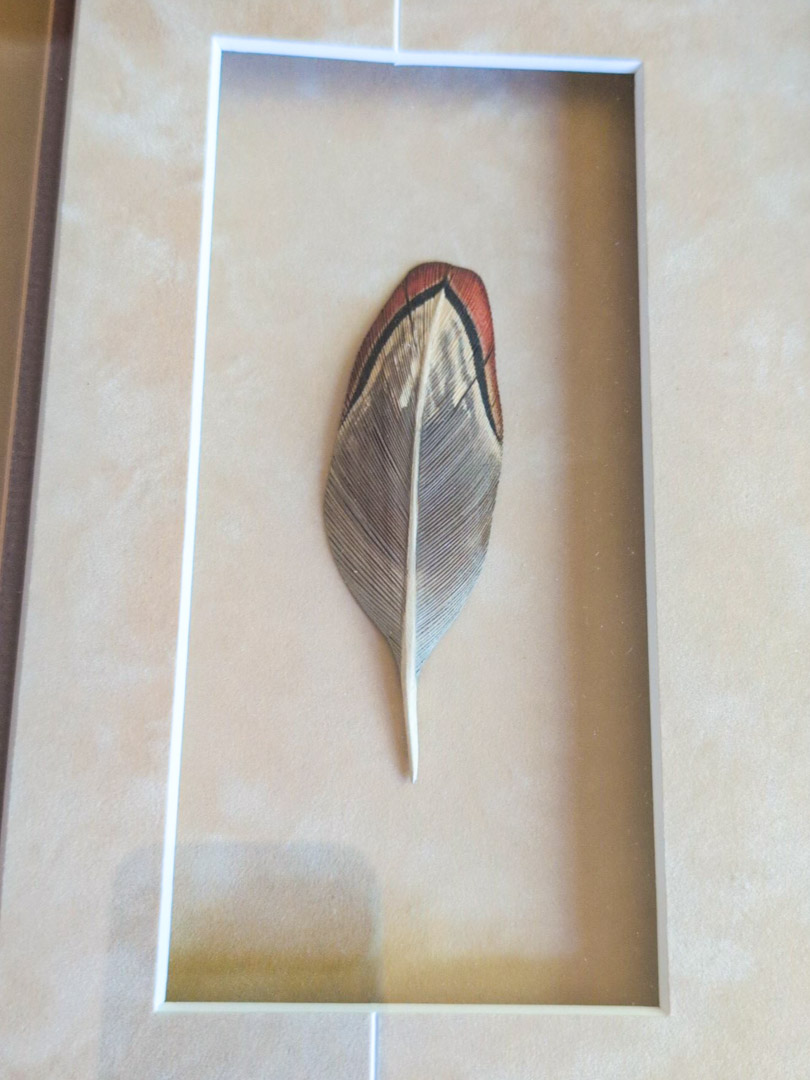 4. Pheasant Feather Art (signed) - Image 5