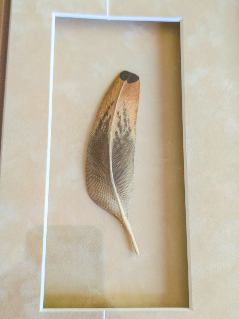 4. Pheasant Feather Art (signed) - Image 6