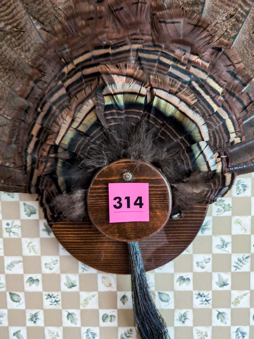 314. Turkey Taxidermy Feather Mount - Image 2