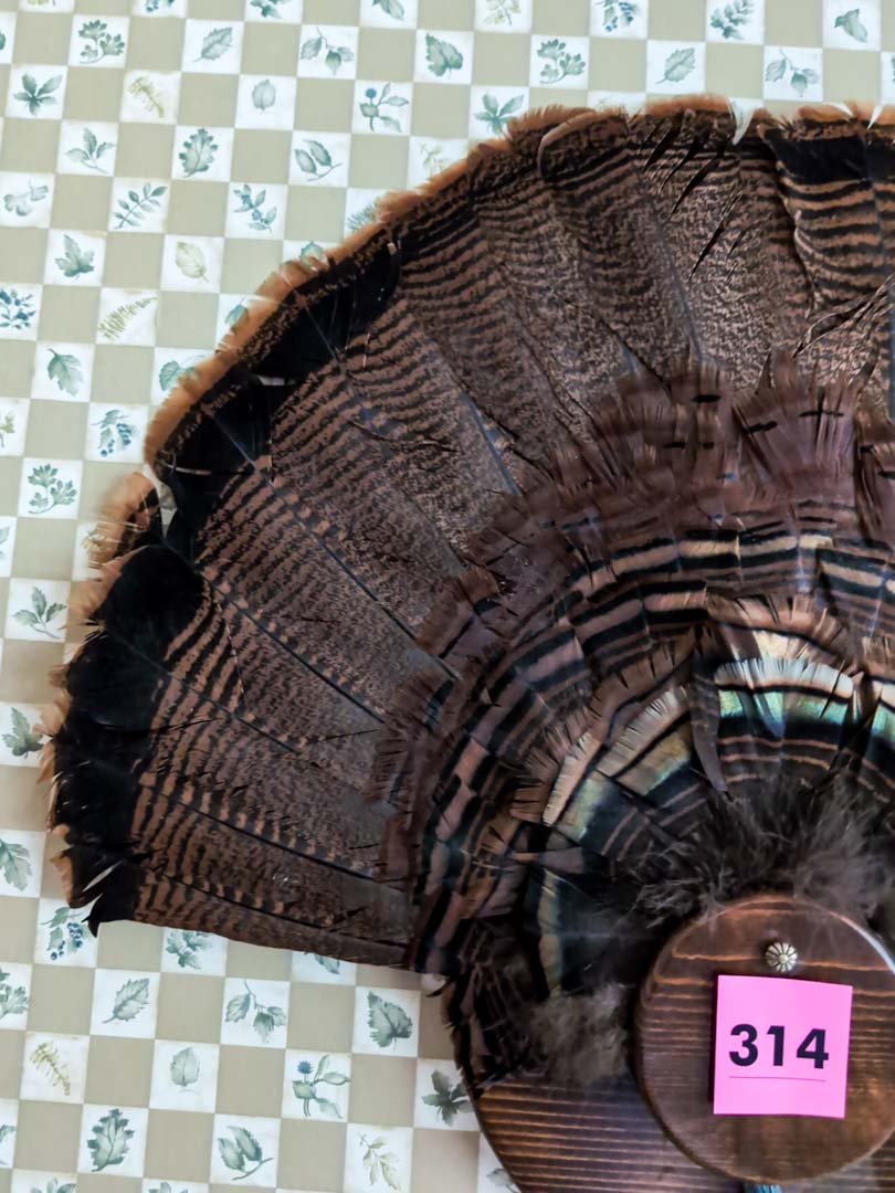 314. Turkey Taxidermy Feather Mount - Image 4