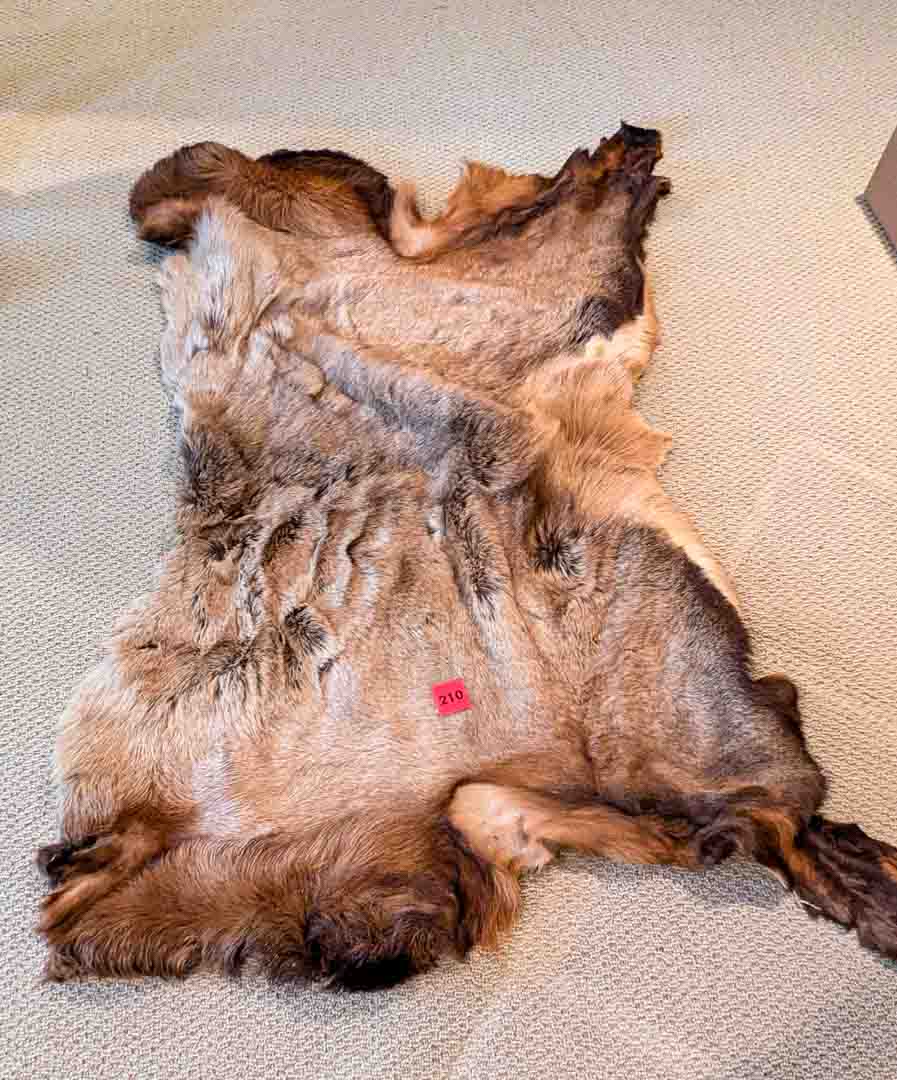 210. Deer Hide