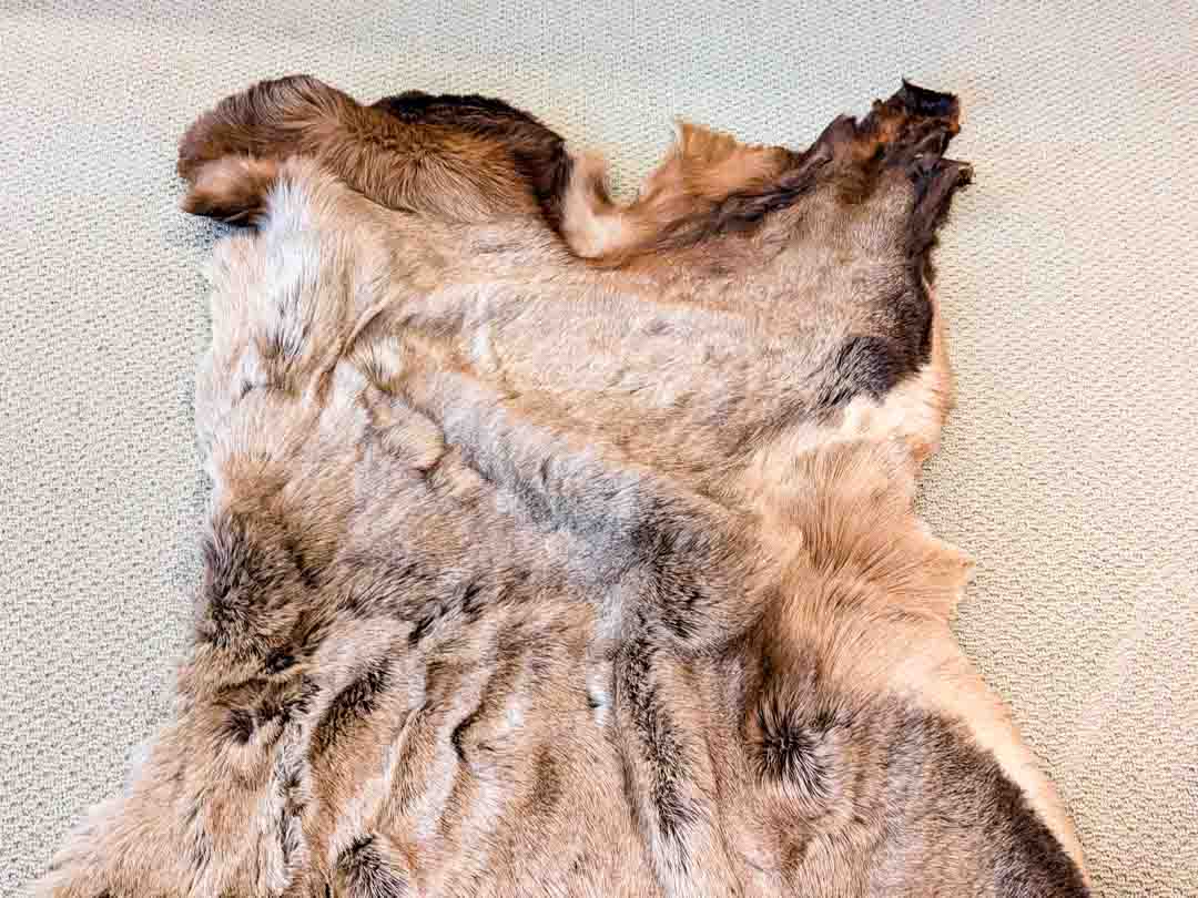 210. Deer Hide - Image 4