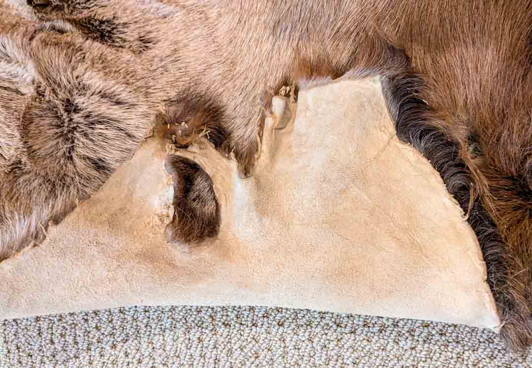 210. Deer Hide - Image 3