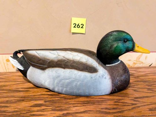 262. Wild Wings Decoy (591/4500) – Changing Spaces SRS