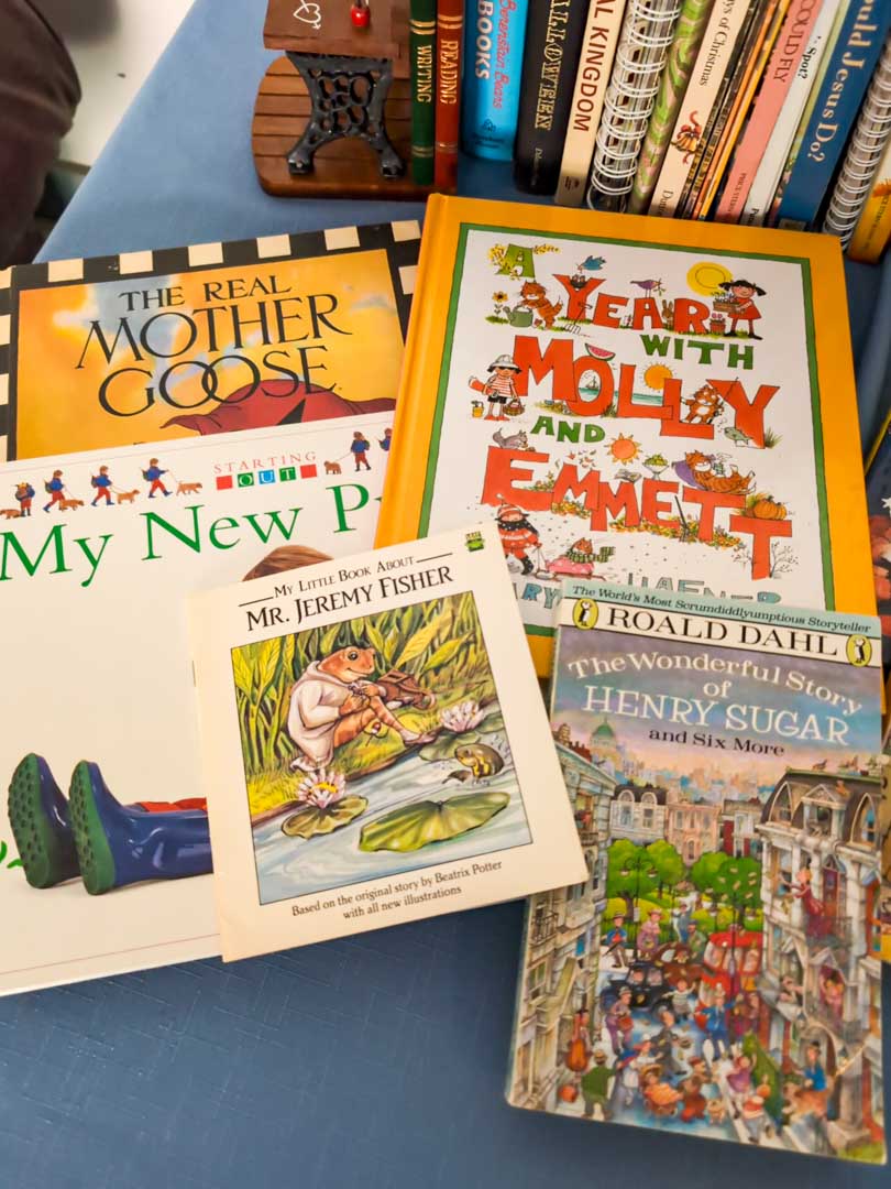 13. Children's Books & Bookends - Image 4